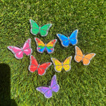 Butterfly Collection